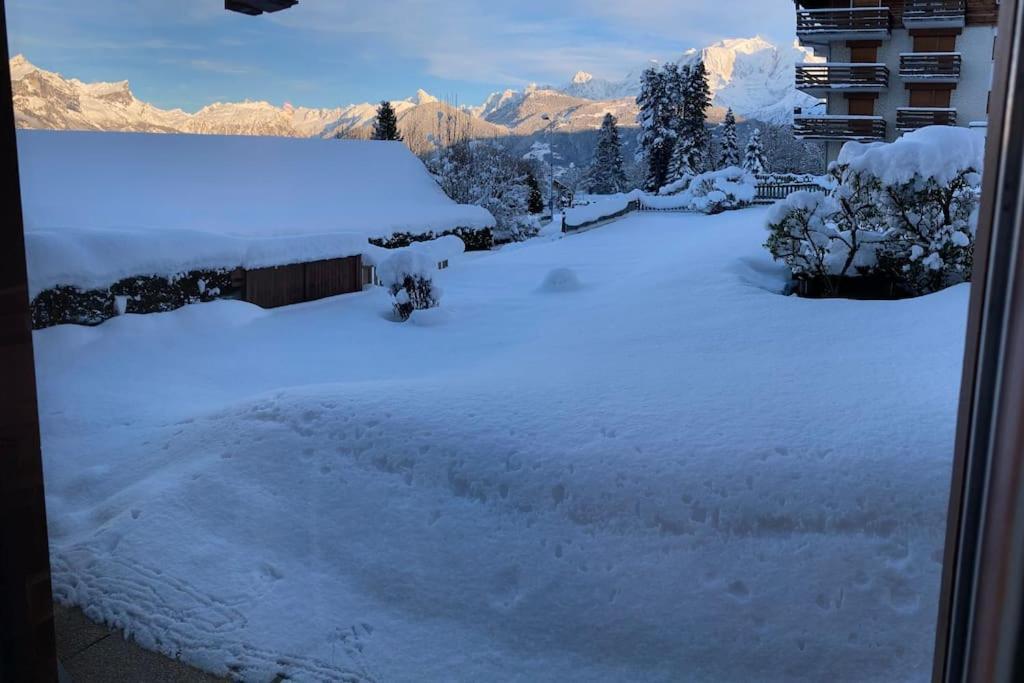 La Marmotte: Vue Mont Blanc, Terrasse, Parking Apartman Combloux Kültér fotó