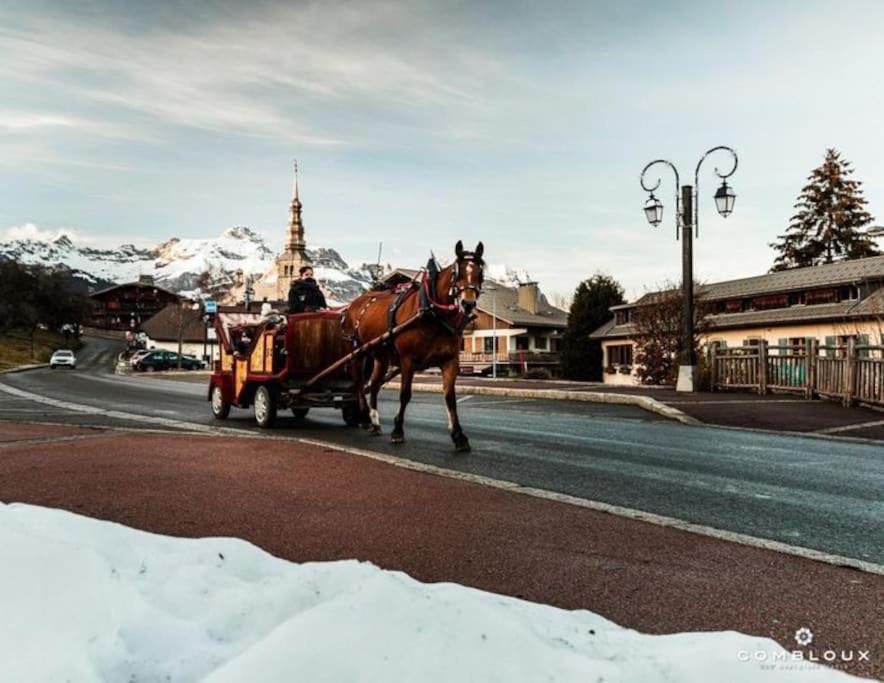 La Marmotte: Vue Mont Blanc, Terrasse, Parking Apartman Combloux Kültér fotó