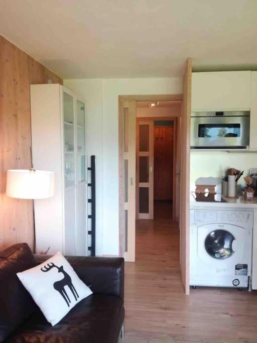 La Marmotte: Vue Mont Blanc, Terrasse, Parking Apartman Combloux Kültér fotó